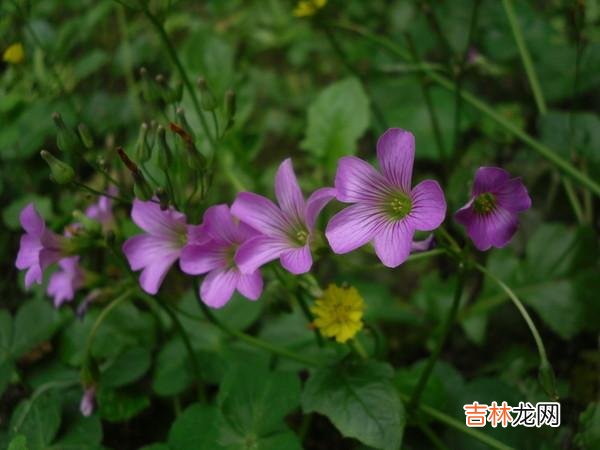 人这一生 人到中年，做好这3件事，余生你就是最大的赢家