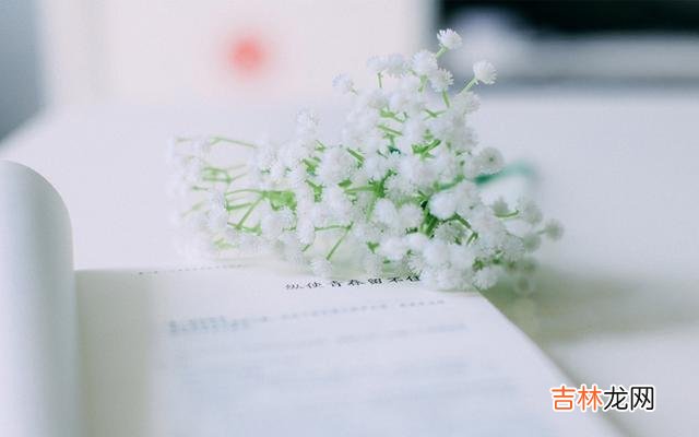 朋友家的房子去年时出租给一位刚毕业不久的姑娘 删繁就简，才能活得不累；保持内心丰盈，才会获得安稳