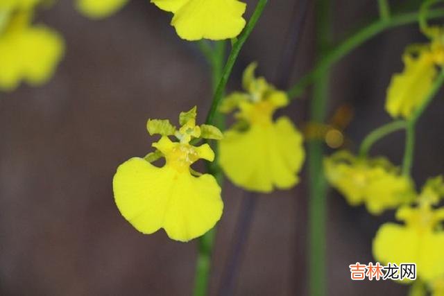 人生路上 人生，就是一个不断地塑造崭新自我的过程