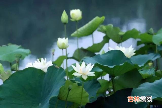 人生路上 人生，就是一个不断地塑造崭新自我的过程