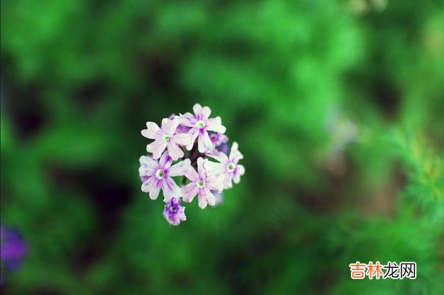不知道你在生活中有没有遇到这样的困惑：朋友找你帮忙 学会了拒绝别人，才能赢得尊重