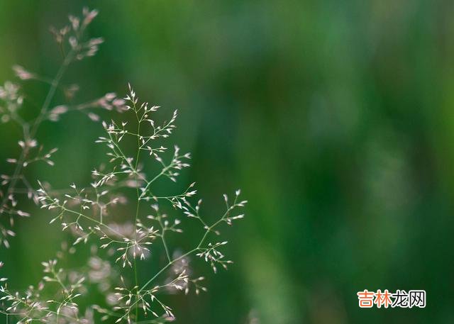 通讯的发达 不管你是真有事，还是想找朋友聊闲天，直接说重点就是了