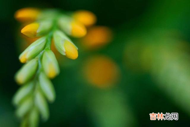 曾经风靡一时的朋友圈 学会了不再从朋友圈里，翻看谁才是真正的朋友