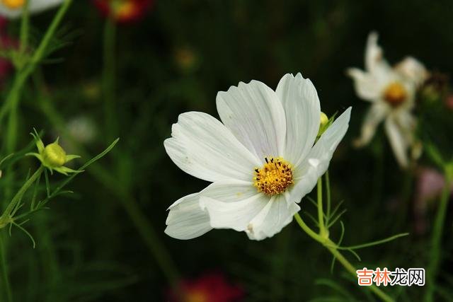 曾经风靡一时的朋友圈 学会了不再从朋友圈里，翻看谁才是真正的朋友