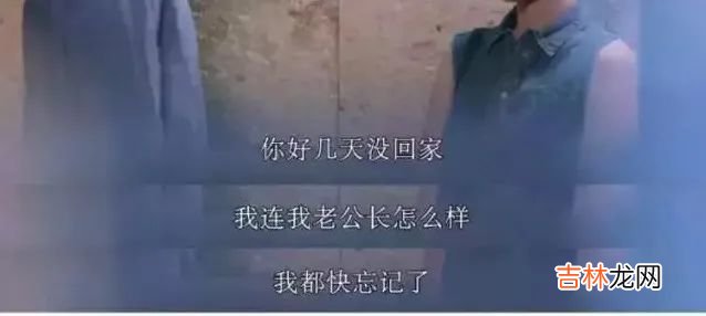 当狐狸爱上兔子，竟然这么甜！｜测测你是哪种类型的动物恋人？