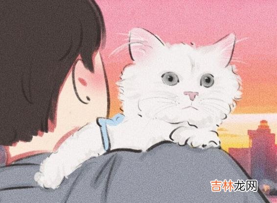 人与人之间，不必追求绝对的价值对等