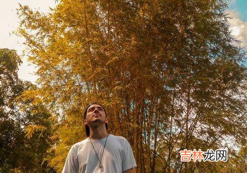 其实 实话实说，离婚很痛苦吗？五件事，件件沉重！