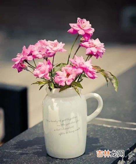 韩雪丽：棋逢对手第五部瓜剖棋布（19）不要浪费大家的时间了