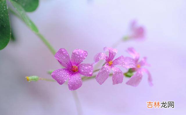 古人的智慧给我们很多人生的启迪 一个人做什么很有讲究，也很有学问