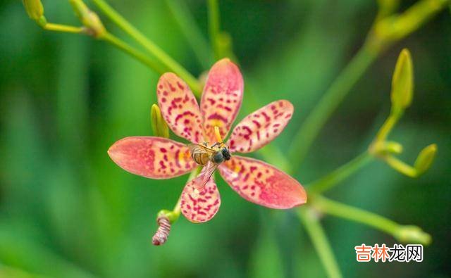 古人的智慧给我们很多人生的启迪 一个人做什么很有讲究，也很有学问