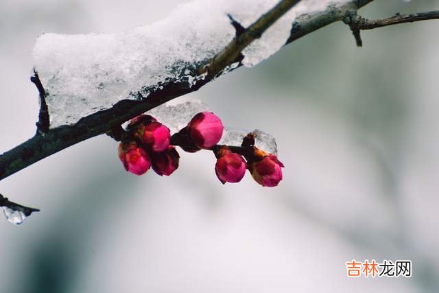 人与人之间，让人感到舒服的相处模式，是这样的