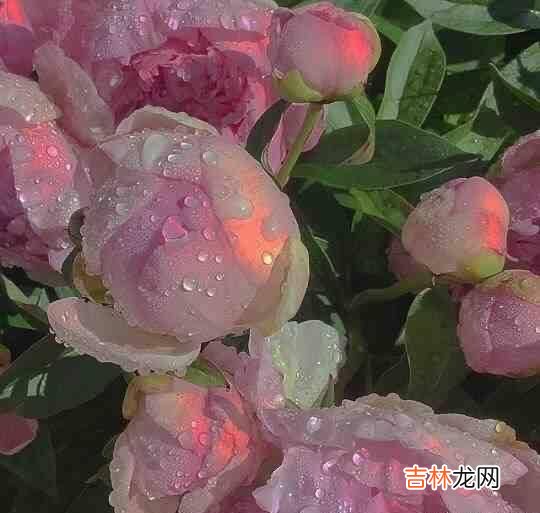 岁月 遇见你，是我一生难以预料的港湾