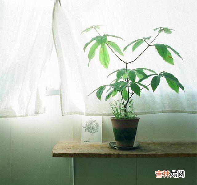 红尘纷扰 你来的方向，正是我所期盼的远方，那里有你所说的深情