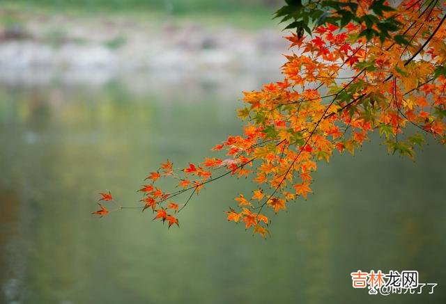 人们常会因为各种各样的原因对前任念念不忘 不爱你的人，你的念念不忘就是一种可笑的自我感动罢了