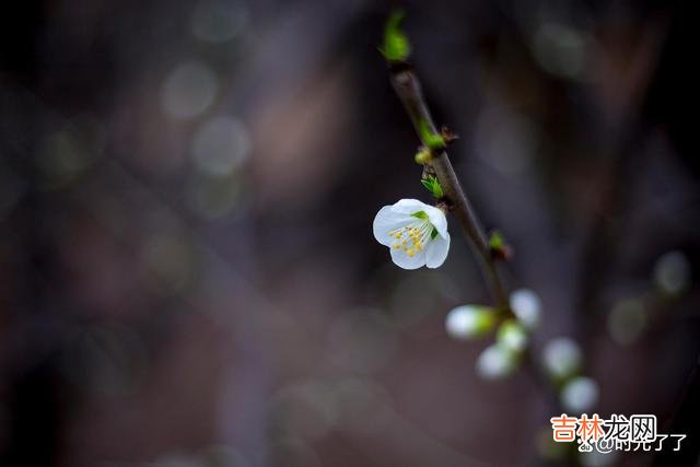 人们常会因为各种各样的原因对前任念念不忘 不爱你的人，你的念念不忘就是一种可笑的自我感动罢了