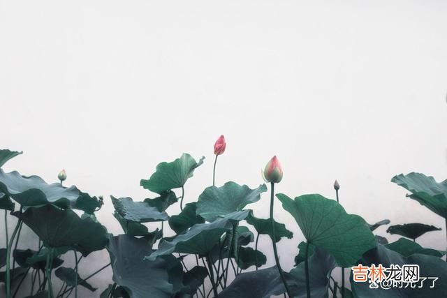 和情商高的人聊天，会自然而然被吸引，觉得聊天是一件很愉快的事