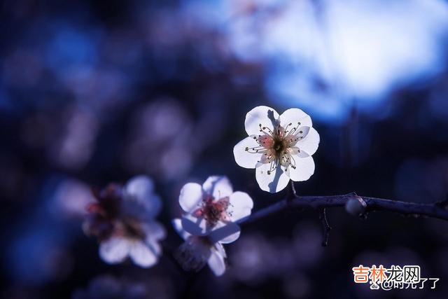 有些事，错过便让他错过，多思无益