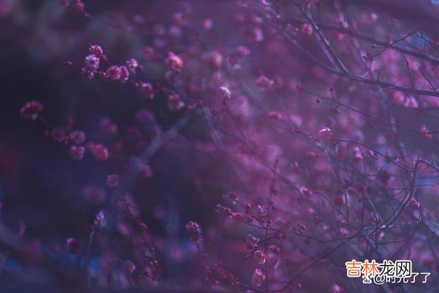 有些事，错过便让他错过，多思无益