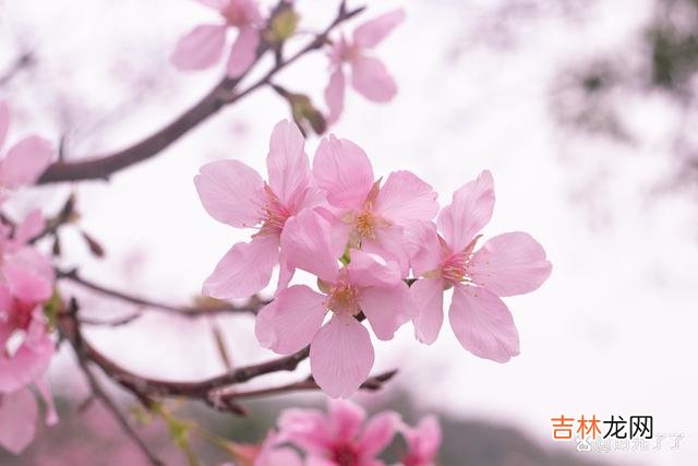 这一生中，你得到了什么样的馈赠，就需要付出相应的代价