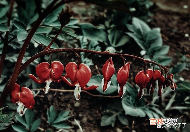 少说是为了避免祸从口出 人生这条路，管好自己都很难，就别再煞费苦心管别人的闲事