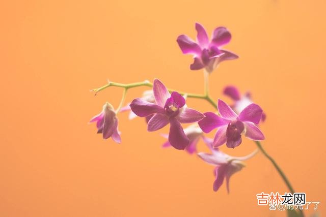 少说是为了避免祸从口出 人生这条路，管好自己都很难，就别再煞费苦心管别人的闲事
