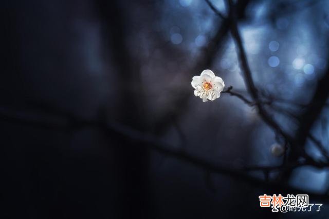 讲真的 一个真正拥有大智慧的人，往往不会四处宣扬，反而比较寡言