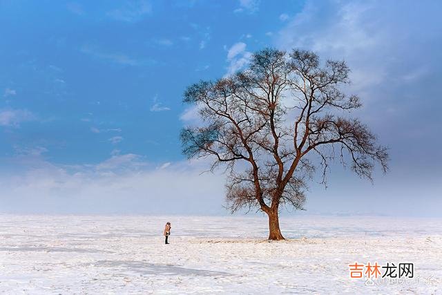 动过心的人 动过心的人，明知这段感情没有一个好的结局，却迟迟不愿放手