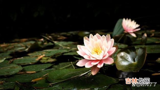 佛家说“舍得”二字 从朋友圈开始，与小人断交，就是为自己排除阻碍