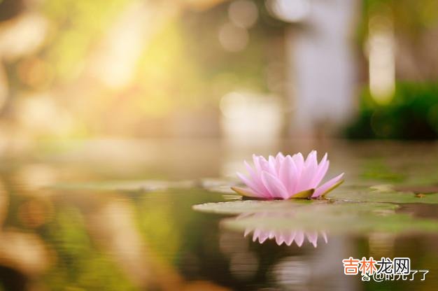 佛家说“舍得”二字 从朋友圈开始，与小人断交，就是为自己排除阻碍