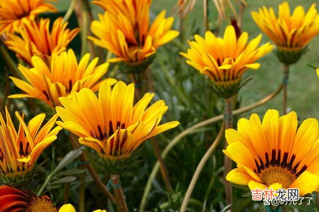 佛家说“舍得”二字 从朋友圈开始，与小人断交，就是为自己排除阻碍