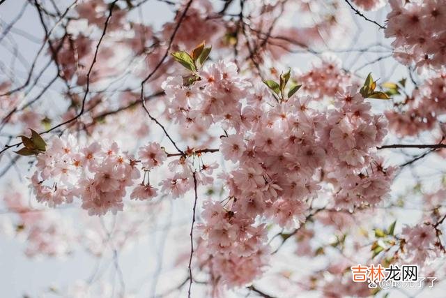 外在的皮囊是披在一个人灵魂上的装饰 一个人的教养如何，其实就藏在细节之中