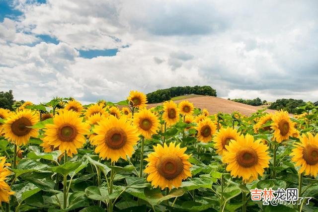 爱到深处是甜言蜜语 真正死心就是彻底的放下，是不再留念，是豁然开朗，是无声无息
