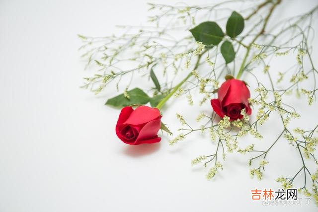 在张爱玲的小说《红玫瑰与白玫瑰》当中 “家花”型女人和“野花”型女人，主要有以下三个本质的区别