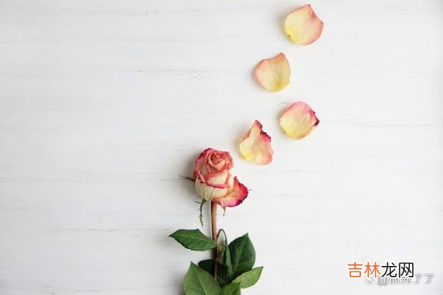 在张爱玲的小说《红玫瑰与白玫瑰》当中 “家花”型女人和“野花”型女人，主要有以下三个本质的区别