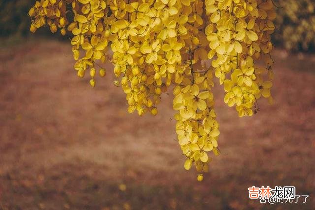 总以为未来还很遥远 人不知所以来到这个世界,就不要再莫名其妙的离开这个世界