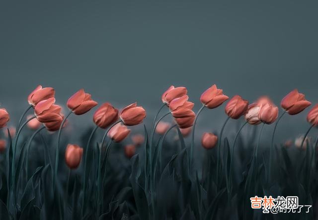 在冯小刚的电影《芳华》里面有这么一句台词：一旦发现英雄也会落井 人心复杂，有些人不是你真心相待就能换来对方的真诚