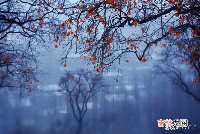 生活就像是盲盒 人越长大越能明白,人生一世,不在于一定要得到和失去