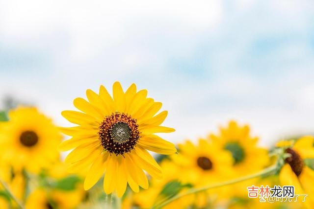 那些忧愁涌上心头的瞬间 人生有三苦，它们就像粘人的橡皮糖怎么甩也甩不掉