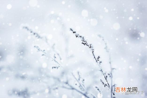 那些忧愁涌上心头的瞬间 人生有三苦，它们就像粘人的橡皮糖怎么甩也甩不掉