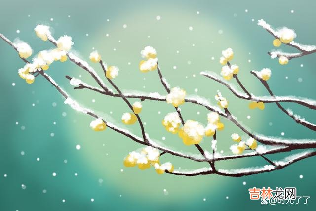 一个女人好命的表现 真的，女人越努力挣钱，越好命