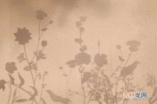 人生就是这样，学会忍耐，才能收获最后的成功