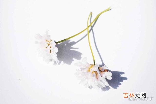 人生就是这样，学会忍耐，才能收获最后的成功