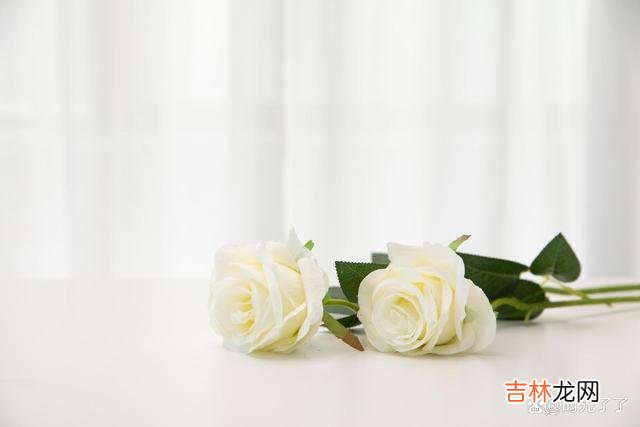 人品 靠谱，是一种突出的品质