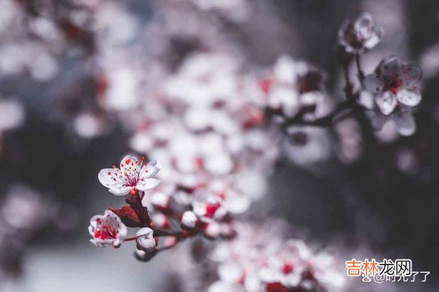 为人老实 人心如海底针，为人处世是一门学问，每个人都是你的老师