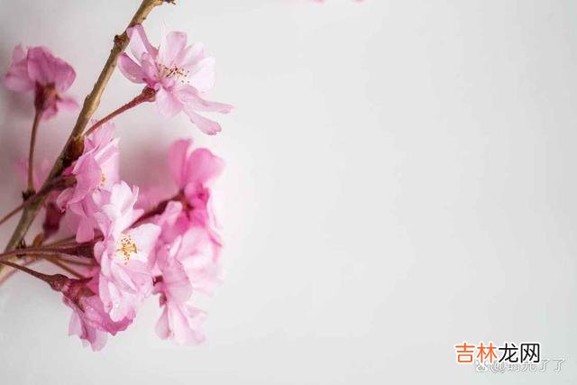 为人老实 人心如海底针，为人处世是一门学问，每个人都是你的老师