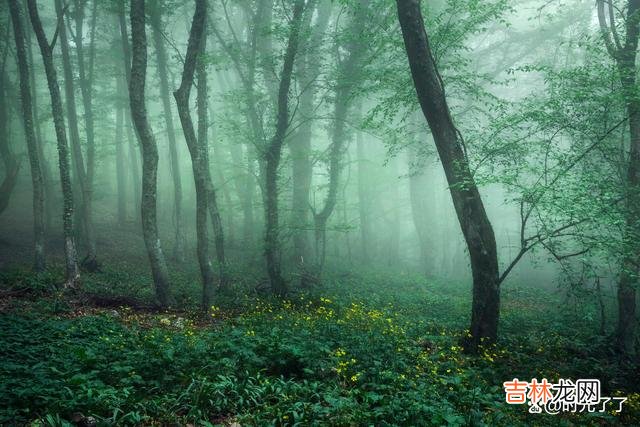 人的情绪 心烦意乱时，让自己去做平时想做而不能做的事