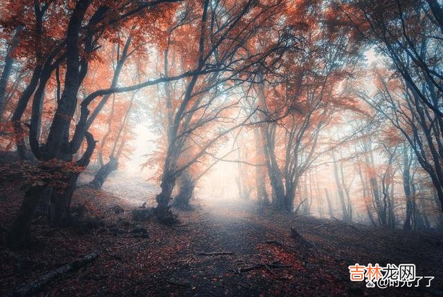人的情绪 心烦意乱时，让自己去做平时想做而不能做的事