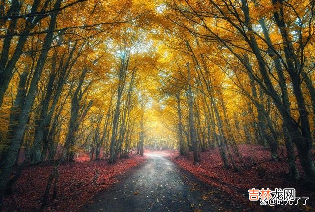 人的情绪 心烦意乱时，让自己去做平时想做而不能做的事