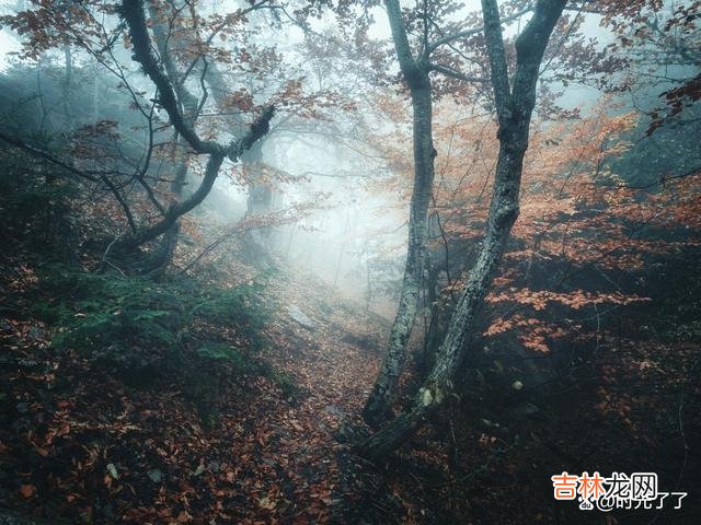 人的情绪 心烦意乱时，让自己去做平时想做而不能做的事
