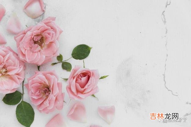 歌手莫文蔚在《他不爱我》当中唱道：我看透了他的心 看到男人表现出了这三个本能反应时，你就是真的爱你